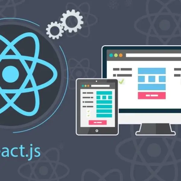 844I will develop your reactjs and spring boot web applications