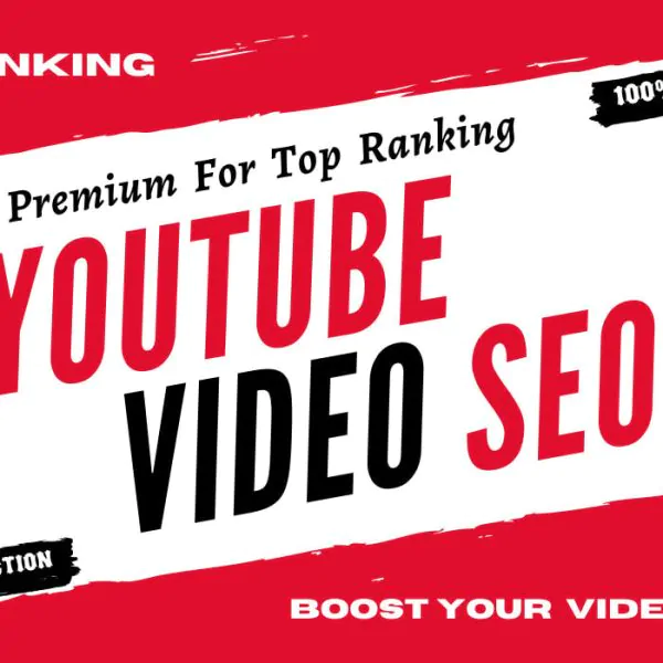 1739I will do best youtube video SEO with vidiq premium for top ranking