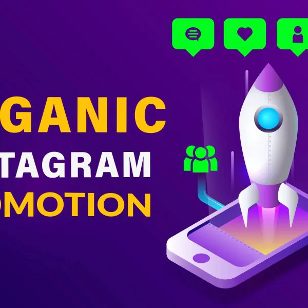 1731I will strategically grow your instagram promotion organically